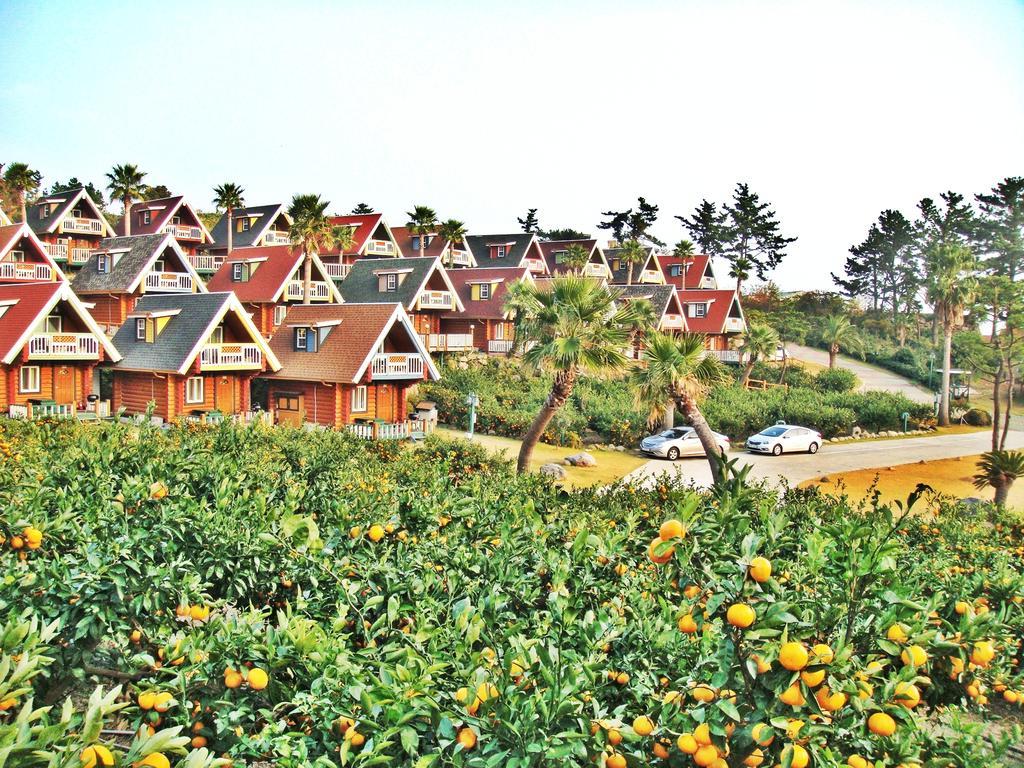 Jungmun Log Pension & Resort Сеогвипо Екстериор снимка