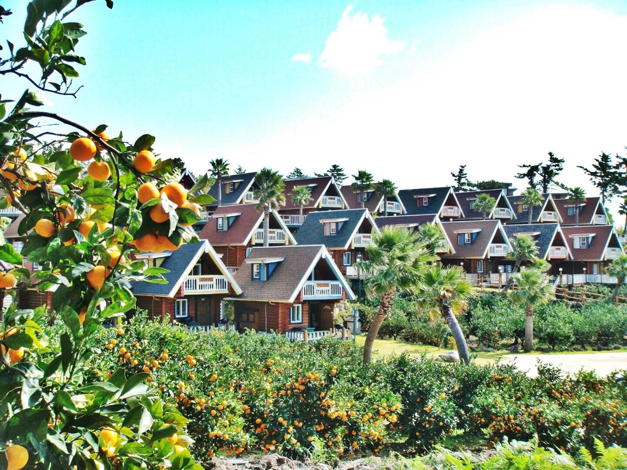Jungmun Log Pension & Resort Сеогвипо Екстериор снимка